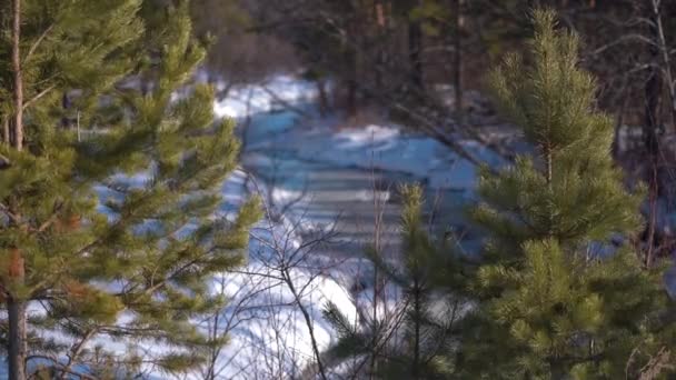 Ein Kleiner Mit Eis Bedeckter Fluss Inmitten Weißer Schneewehen Wald — Stockvideo