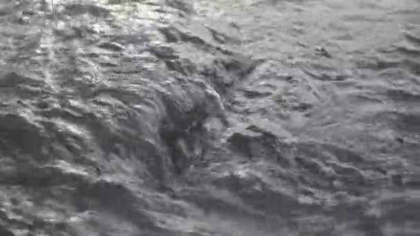 Snel Stromend Water Passerend Door Smeltend Ijs Een Macro Stroom — Stockvideo