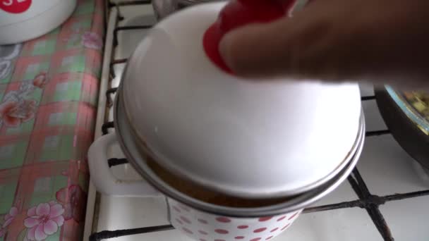 Soep Koken Een Pan Een Gasfornuis Zelfgemaakt Voedsel — Stockvideo