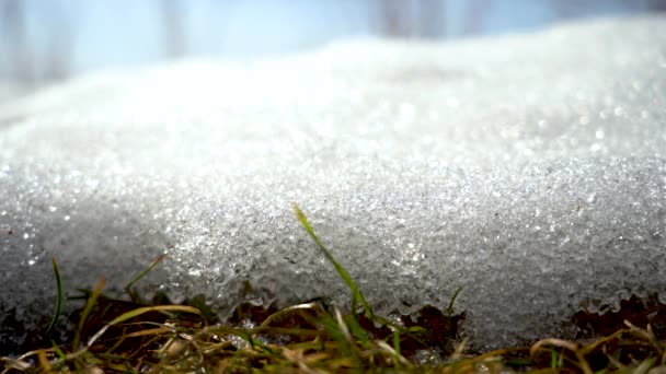 Neve Scioglie Primo Piano Ghiaccio Illuminato Dalla Luce Del Sole — Video Stock