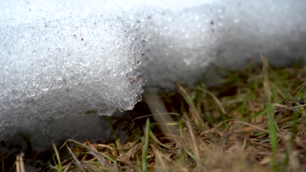 Neve Scioglie Primo Piano Ghiaccio Illuminato Dalla Luce Del Sole — Video Stock