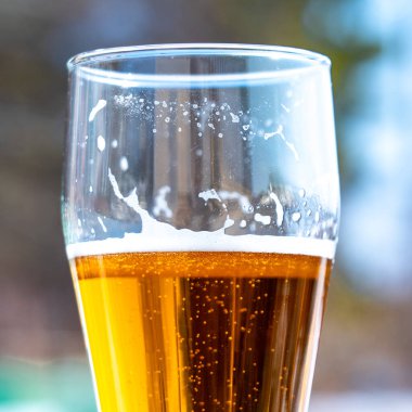 Doğada piknikte cam şarap bardağında hafif bira. Bardağın duvarlarında bira köpüğü güneş ışığında