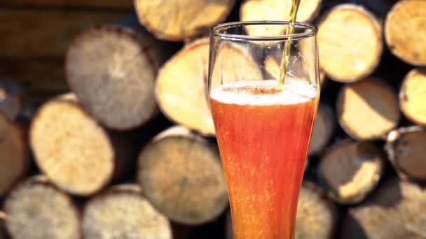 薪を背景にグラスゴブレットで軽いビール 国の残りの部分 太陽の下でのビール泡 — ストック動画