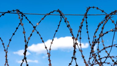 Güneşli bir günde mavi gökyüzüne karşı dikenli tel örgü. Mavi gökyüzüne karşı dikenli teller.
