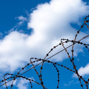 Güneşli bir günde mavi gökyüzüne karşı dikenli tel örgü. Mavi gökyüzüne karşı dikenli teller.