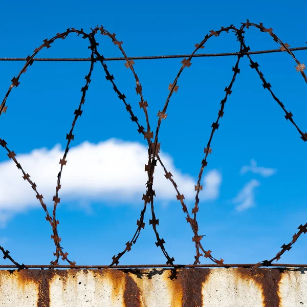 Barbed wire fence against the blue sky on a sunny day. Barbed wire close-up against the blue sky