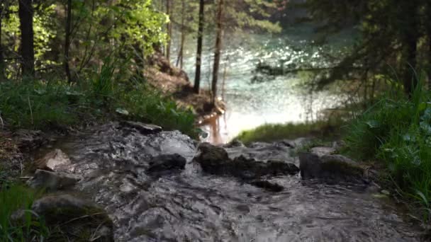 Uma corrente de montanha limpa tende para o lago. Um fluxo rápido de água em um córrego entre pedras — Vídeo de Stock