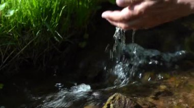 Orman deresinden temiz su toplayan yaşlı bir adamın elleri..