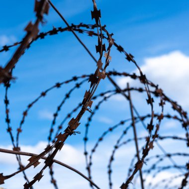 Mavi gökyüzünün arka planında paslı dikenli tel var. Mavi gökyüzü ve beyaz bulutların üzerinde dikenli tellerin silueti.