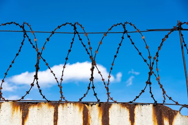 Barbed wire fence on a white wall with rust. Barbed wire close-up against the blue sky