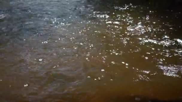 川の水を閉じるまで 太陽の光の中で茶色の混沌とした川の水のクローズアップ運動 — ストック動画