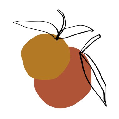 Modern Orange Fruit Terrae Modern Geometrik Doku Posteri Terracotta Çiçek Resimli Resim Rengi Soyutlaması Çağdaş Yanık Portakal Vektörü Çizimi 2020