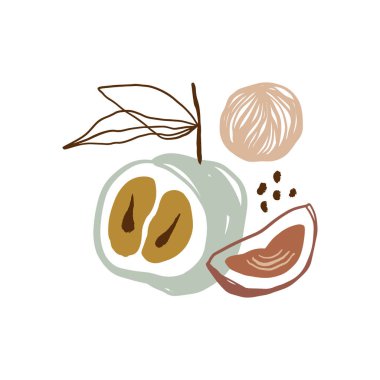 Yazdırılabilir Meyve Duvarı Dijital Yazdırma Tarafsız Boho Dekorasyonu Soyut Minimalist Modern Sanat Sanatı Tarafsız Tonlar Vektörü