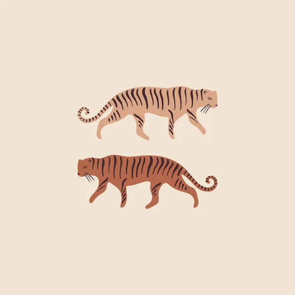 Set of funny tigers couple different colors. Walking wild cat. Good for summer sale, social media promotional content, kids t-shirt. Isolated animals. Vector illustration. — Stock Vector