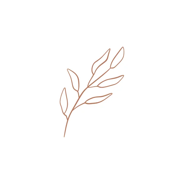 Branch leaf hand drawn symbol. Isolated on white background. Good for natural theme design, beauty industry, wedding postcards. Vector illustration. Clipart — Stock Illustration Branch leaf hand drawn symbol. Isolated on white background. Good for natural theme design, beauty industry, wedding postcards. Vector illustration. Clipart Royalty Free Stock Illustrations