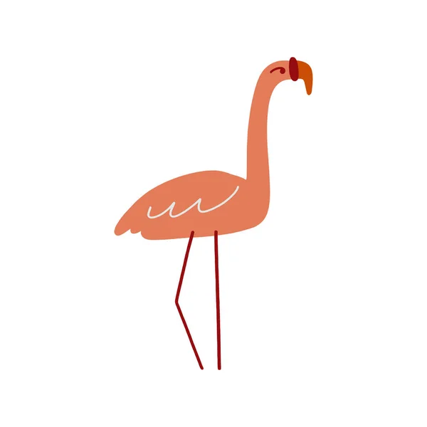 Illustration Vectorielle Impression Art Été Oiseau Flamant Rose Bande Dessinée — Image vectorielle