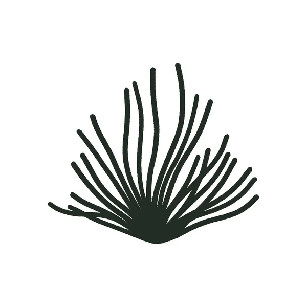 Cartoon Flat Seaweed Summer Art Print Vector Illustration Modern Linear — Stock Vector