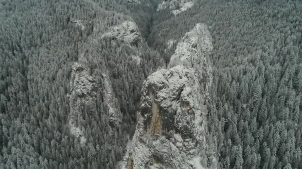 Imagens aéreas de cadeias de montanhas e falésias cobertas de neve — Vídeo de Stock