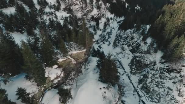 Drone aéreo tiro do rio Arges correndo em Fagaras montanhas cobertas de neve no inverno — Vídeo de Stock