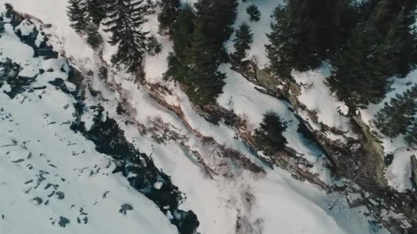 Aerial drone shot of Arges river running in Fagaras mountains covered with snow in wintertime — Stock Video
