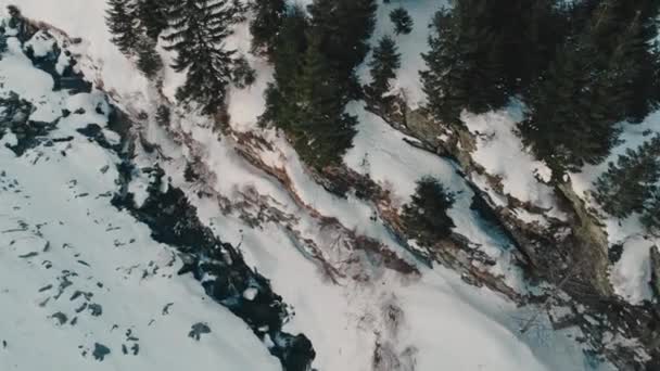 Drone aérien de la rivière Arges courant dans les montagnes de Fagaras recouvertes de neige en hiver — Video