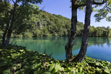 Plitvice Gölleri Milli Parkı - Hırvatistan