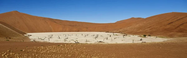 Namibya 'da ölü Vlei — Stok fotoğraf