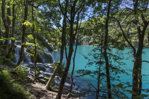 プリトヴィツェ湖群国立公園 - クロアチア — ストック写真
