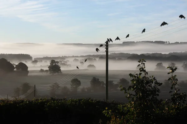 Kora reggel köd - Egyesült Királyság — Stock Fotó