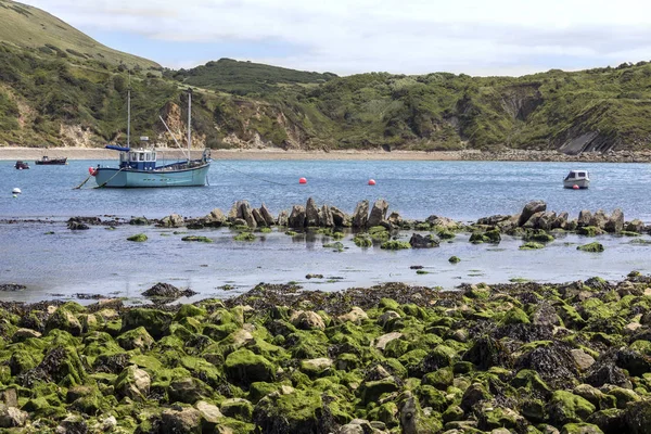 Lulworth Cove - Dorset - England — Stock Photo, Image