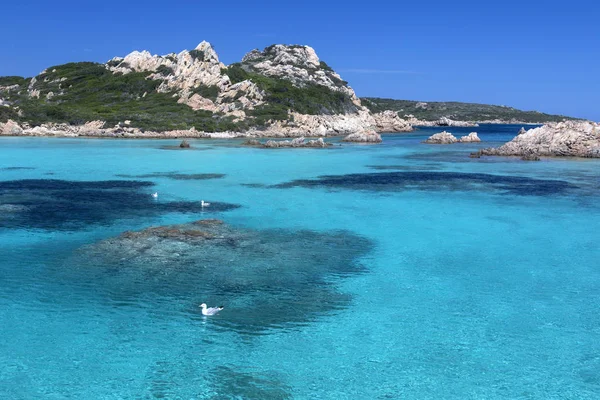 Islas Maddalena - Cerdeña - Italia — Foto de Stock