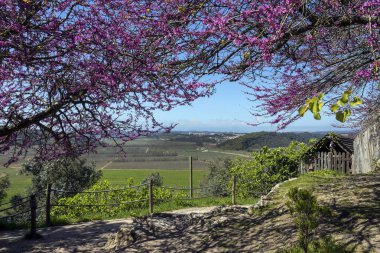 Portekiz kırsal - Obidos - Portekiz