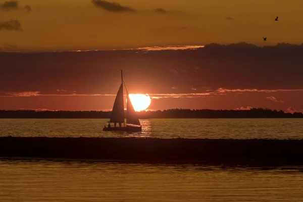 Apus de soare lângă Pirita Marina - Tallinn - Estonia — Fotografie, imagine de stoc