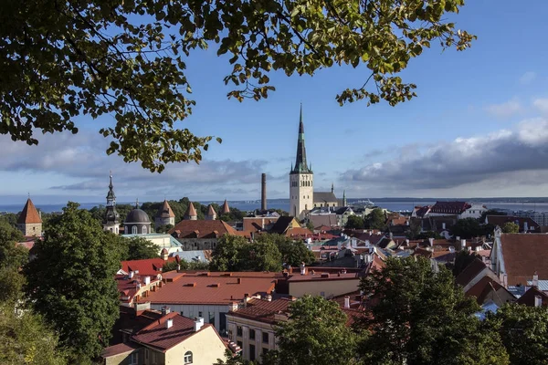 Город Таллин в Эстонии — стоковое фото