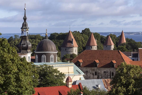 Daken van de stad van Tallinn - Estland — Stockfoto