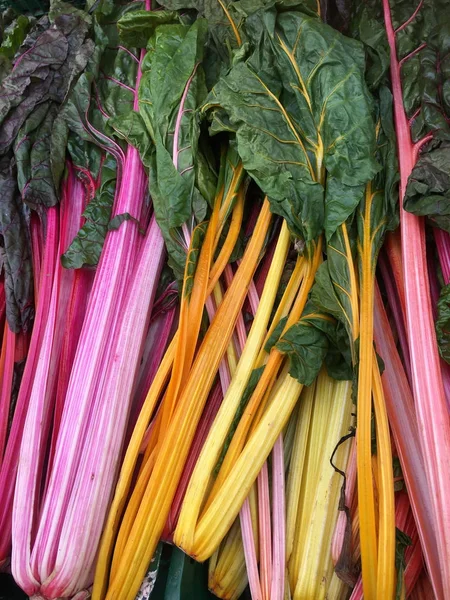 Chard - a leafy green vegetable