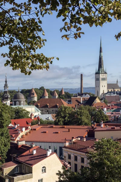 Город Таллинн - Эстония — стоковое фото