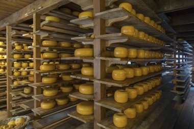 Gouda peyniri mağaza - Town Gouda - Hollanda