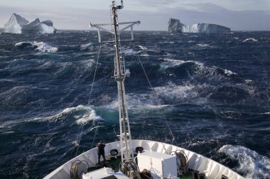 Arctic - Scoresbysund gemisiyle - Grönland
