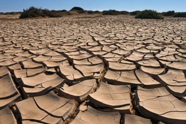 Kuru kırık dünya - Namib Çölü - Namibya