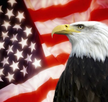 Amerika Birleşik Devletleri