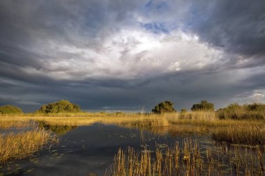 Dramatic Sky - The Okavango Delta clipart