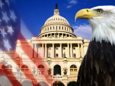 United States of America - Patriotic Symbols clipart