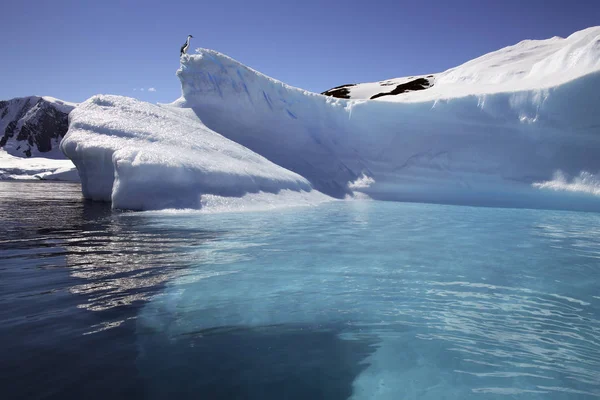 파라다이스 베이-남극 반도-남극 — 스톡 사진