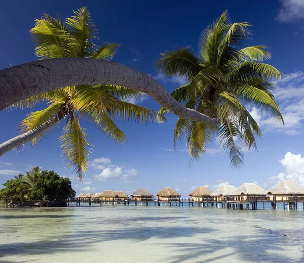 Luxusní ubytování - Mahini - Francouzská Polynésie — Stock fotografie