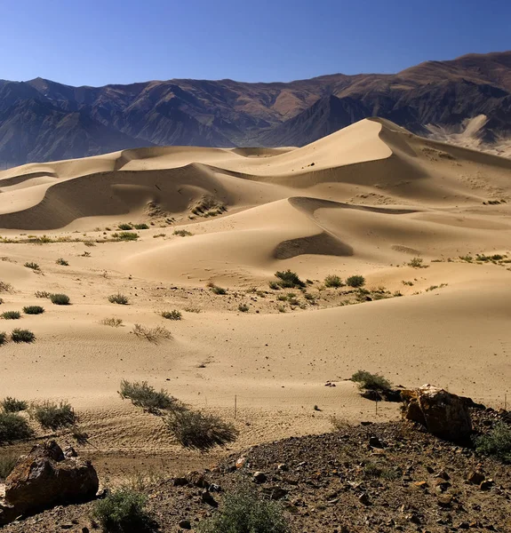 西藏-青藏高原-沙漠沙丘 — 图库照片
