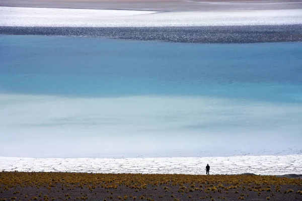 Tuyejto lagune en zoutvlakten - Atacama woestijn - Chili — Stockfoto