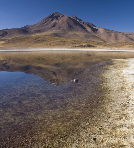 Альтипланическая лагуна - пустыня Атакама - Чили — стоковое фото