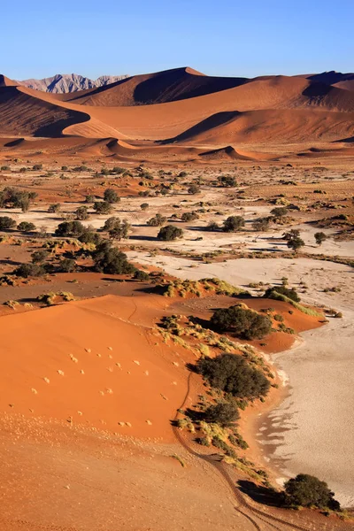 Wydmy - Sossusvlie - Namibia — Zdjęcie stockowe