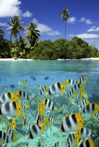 Tropische Lagune - Tahiti in Französisch-Polynesien — Stockfoto
